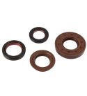 JUEGO RETENES MOTOR MINARELLI HORIZONTAL / VERTICAL - MALOSSI - R: 6619160