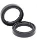 KIT RETENES HORQUILLA 41 X 54 X 11- ALL BALLS - R: 17273