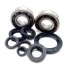 KIT RODAMIENTOS CIGUEÑAL Y RETENES MOTOR VARIANT START 5 (ALTAS REVOLUCIONES) R: 7401102