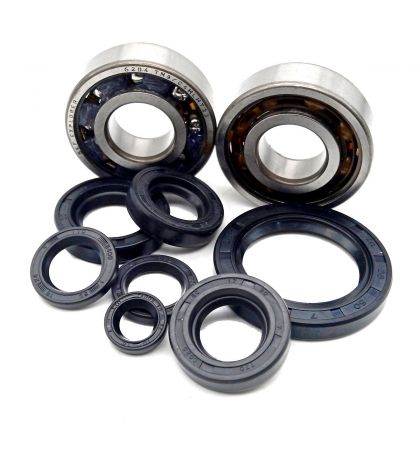 KIT RODAMIENTOS CIGUEÑAL Y RETENES MOTOR VARIANT START 5 (ALTAS REVOLUCIONES) R: 7401102