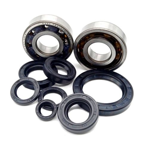 KIT RODAMIENTOS CIGUEÑAL Y RETENES MOTOR VARIANT START 5 (ALTAS REVOLUCIONES) R: 7401102