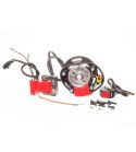 ROTOR ITALKIT / SELETTRA VARIABLE DOBLE CURVA MINARELLI AM6 R: EV2.02.01