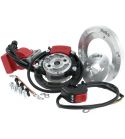 ROTOR ITALKIT / SELETTRA VARIABLE DOBLE CURVA MINARELLI HORIZONTAL R: EV2.01.07