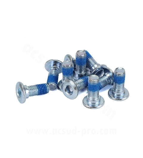 TORNILLO ( 10 UNIDADES ) DISCO FRENO YAMAHA X MAX 125 CC. 2018-2024 / N MAX 125 CC. 2015-2020 / XMAX 250 CC. R: 282012