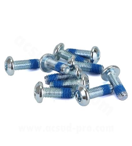 TORNILLO ( 10 UNIDADES ) DISCO FRENO YAMAHA T MAX 500-530-560 C.C / MAJESTY 400 CC. / MT09 R: 282012A