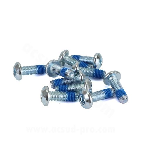 TORNILLO ( 10 UNIDADES ) DISCO FRENO YAMAHA T MAX 500-530-560 C.C / MAJESTY 400 CC. / MT09 R: 282012A