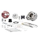 EQUIPOMOTOR TESTA ROSSA MINARELLI AM6 / 47 BIELA 100 - MALOSSI - R: 3119078