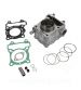 CILINDRO HONDA 125 DYLAN, PANTHEON, PS, SH 2001-2012, S-WING / KEEWAY 125 OUTLOOK 125 CC. Ø 52,50 ( BULÓN Ø14 ) R: 030316S