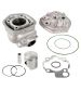 EQUIPOMOTOR 70 CC. ( HIERRO ) AM 6 / D.48 MM. - AIRSAL - R: H01138248