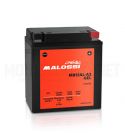 BATERIA MALOSSI MB12AL-A2 GEL R: 4419722