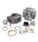 EQUIPOMOTOR PUCH CONDOR / MONZA 74 C.C. ( ADMISIÓN LAMINAS ) R: CK.56.741.G