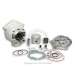 EQUIPO MOTOR MHR MINARELLI AM6 D. 50 - MALOSSI - R: 3112228