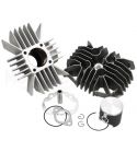EQUIPOMOTOR DERBI VARIANT 74 C.C. - METRAKIT - R: 800D1140