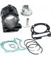 CILINDRO HERT ( TIPO ORIGINAL ) VESPA GTS 300 / MP3 300 C.C. R: 420131