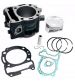 CILINDRO HERT ( TIPO ORIGINAL ) VESPA GTS 300 / MP3 300 C.C. R: 420131
