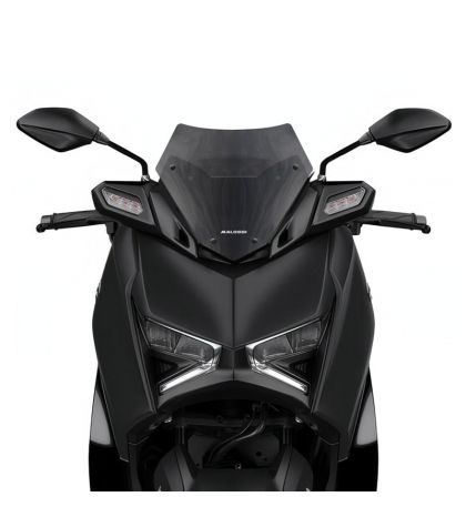 CÚPULA MALOSSI SPORT SCREEN YAMAHA X MAX 125 E5 R: 4519948