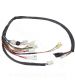CABLEADO ELECTRICO DERBI SENDA 50 DRD 2005-2008 / DRD EVO 2008-2009 / APRILIA SX-RX 50 2006-2010 R: 187240J
