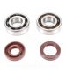 KIT DE RODAMIENTOS TPI (6204 TVH C4 ) + RETENES DE VITÓN MINARELLI AM6 50 CC / BETA 50 RR / RIEJU 50 R: 100020L