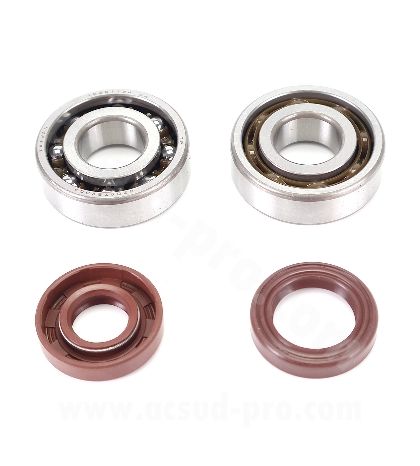 KIT DE RODAMIENTOS TPI (6204 TVH C4 ) + RETENES DE VITÓN MINARELLI AM6 50 CC / BETA 50 RR / RIEJU 50 R: 100020L