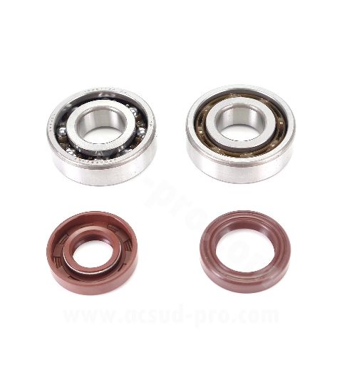 KIT DE RODAMIENTOS TPI (6204 TVH C4 ) + RETENES DE VITÓN MINARELLI AM6 50 CC / BETA 50 RR / RIEJU 50 R: 100020L