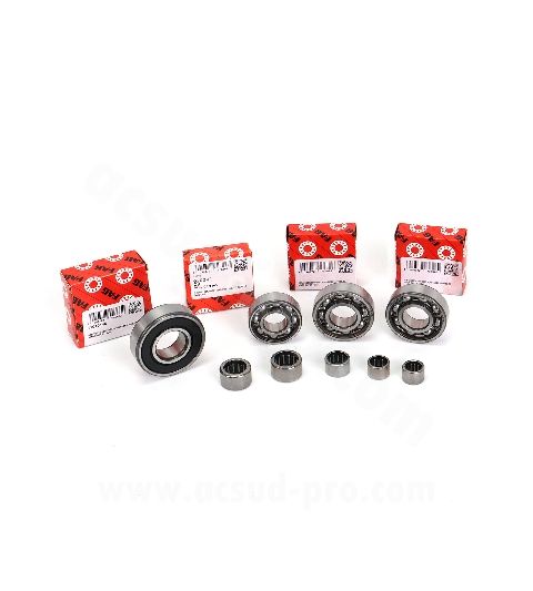 KIT DE RODAMIENTOS DE LA CAJA DE CAMBIOS MINARELLI AM6 ( 8 PIEZAS ) CARENZI R 100015A