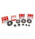 KIT DE RODAMIENTOS DE LA CAJA DE CAMBIOS MINARELLI AM6 ( 8 PIEZAS ) CARENZI R 100015A