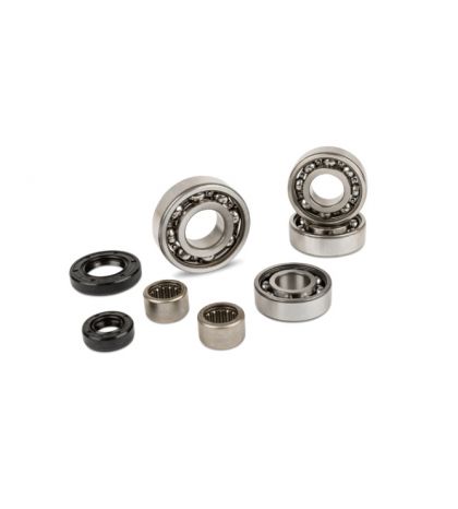 KIT RODAMIENTOS Y RETENES CAJA CAMBIO AM6 R: KAMSKK