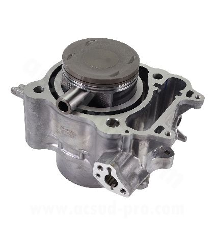 CILINDRO HONDA X ADV 350 CC. / SH 350 CC. / FORZA 350 CC. 2021 Ø77 MM. R: 030316O