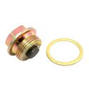 TORNILLO VACIADO DE ACEITE 22 X 1.50 CON JUNTA R: 7239353