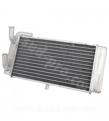 RADIADOR YAMAHA X MAX 125 / 250 C.C. 2010-2013 R: 093601E