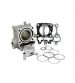 CILINDRO BARIKIT HONDA PCX 125 CC.( DESDE 2012 ) HONDA SH 125 CC. ( DESDE 2013 ) R: CIL-811B