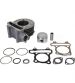 CILINDRO BARIKIT PEUGEOT TWEET / SYM SYMPHONY 125 C.C. PISTÓN 52,40 R: CIL-813B