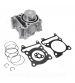 CILINDRO COMPLETO HONDA SH 125 CC. 2020-2024 / PCX 12 5CC. 2020-2024 Ø53.5mm (BULÓN Ø14) R: 030316V
