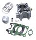 CILINDRO HERT HONDA PCX 125 C.C. (10/12) R: 421035