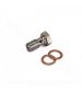TORNILLO BANJO SIMPLE INOX M10 X 100 L: 25 MM. R: 282054