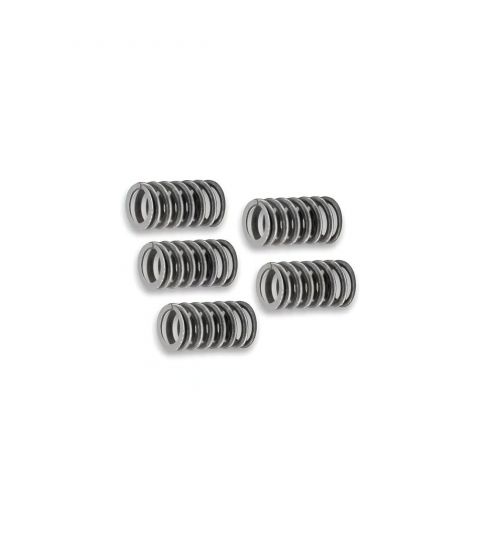 MUELLES DE EMBRAGUE MJC 70 / 90 C.C.DERBI E2 / E3 / E4 / E5 R: MJC-MOL7090DE