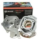 EQUIPO MOTOR DERBI SENDA 50 ( MOTOR PIAGGIO ) TEAM MHR MALOSSI BIG BORE D. 50 CON CÚLATIN R: 3112988