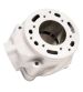 EQUIPOMOTOR MALOSSI TESTA ROSSA 100 C.C. CARTER FL MINARELLI AM6 R: 3118679