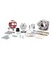 EQUIPOMOTOR MALOSSI TESTA ROSSA 100 C.C. CARTER FL MINARELLI AM6 R: 3118679