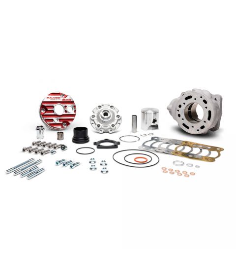 EQUIPOMOTOR MALOSSI TESTA ROSSA 100 C.C. CARTER FL MINARELLI AM6 R: 3118679