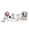 EQUIPOMOTOR MALOSSI TESTA ROSSA 100 C.C. CARTER FL MINARELLI AM6 R: 3118679