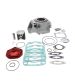 EQUIPOMOTOR APRILIA RS 125 A 140 C.C. PISTÓN 57 MM. ( ROTAX 122 ) - ITALKIT - R: CK.01.140.G