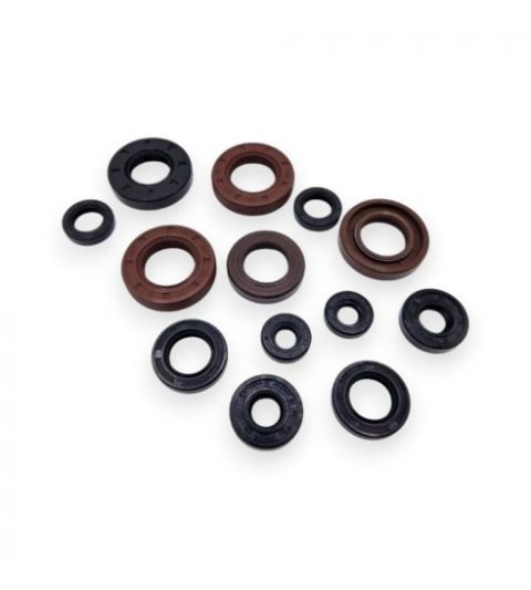 KIT DE RETENES MOTOR COMPLETO DERBI E3 / E4 ( 13 RETENES ) METRAKIT R: 960D2514