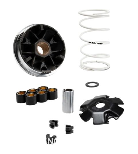 VARIADOR MULTIVAR MALOSSI ZONTES 125-D CC.4T E5+ R: 5120513
