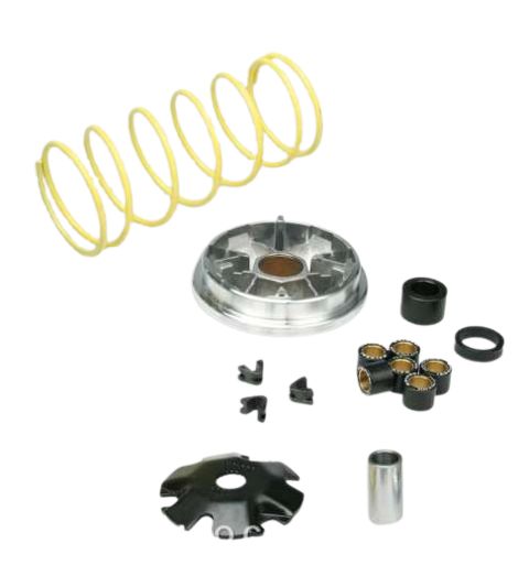 VARIADOR MULTIVAR VESPA ZIP 50 MALOSSI R: 517081