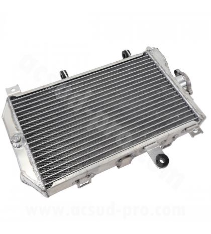 RADIADOR SUZUKI BURGMAN 650 CC. / AN 650 C.C. 2013-2018 R: 093601F