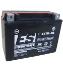 BATERÍA ENERGYSAFE ESTX15L-BS SIN MANTENIMIENTO R: 068139