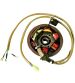 VOLANTE MAGNÉTICO 6 POLOS 12V 90W (MOTOR PIAGGIO 50 2T) R: 04168530