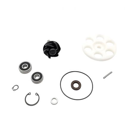 KIT REPARACION BOMBA DE AGUA " TOP PERFORMANCES " MINARELLI HORIZONTAL ( SOLO PARA BOMBAS TOP 993790 ) R: AA00845
