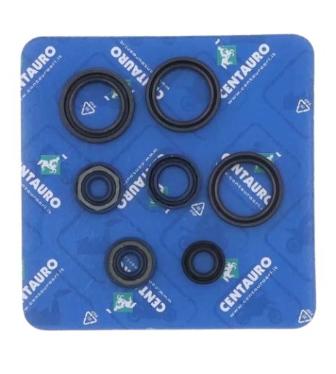 KIT RETENES MOTOR APRILIA RS 125 ( ROTAX 122 ) CENTAURO R: 63790